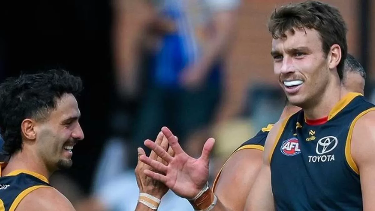 Scans Rule Crows Forward Thilthorpe Out of Season Start 1 Scans Rule Crows Forward Thilthorpe Out of Season Start
