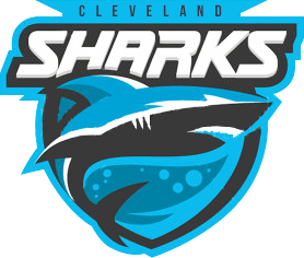 team sharks 1 1